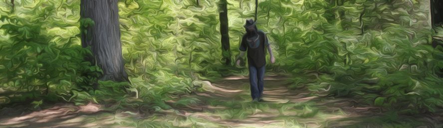 Man walking through forest trail — a symbolic journey of soul retrieval and reflection during illness, 2016