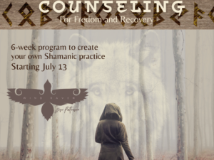 Shamanic Counseling with Six Individual Sessions