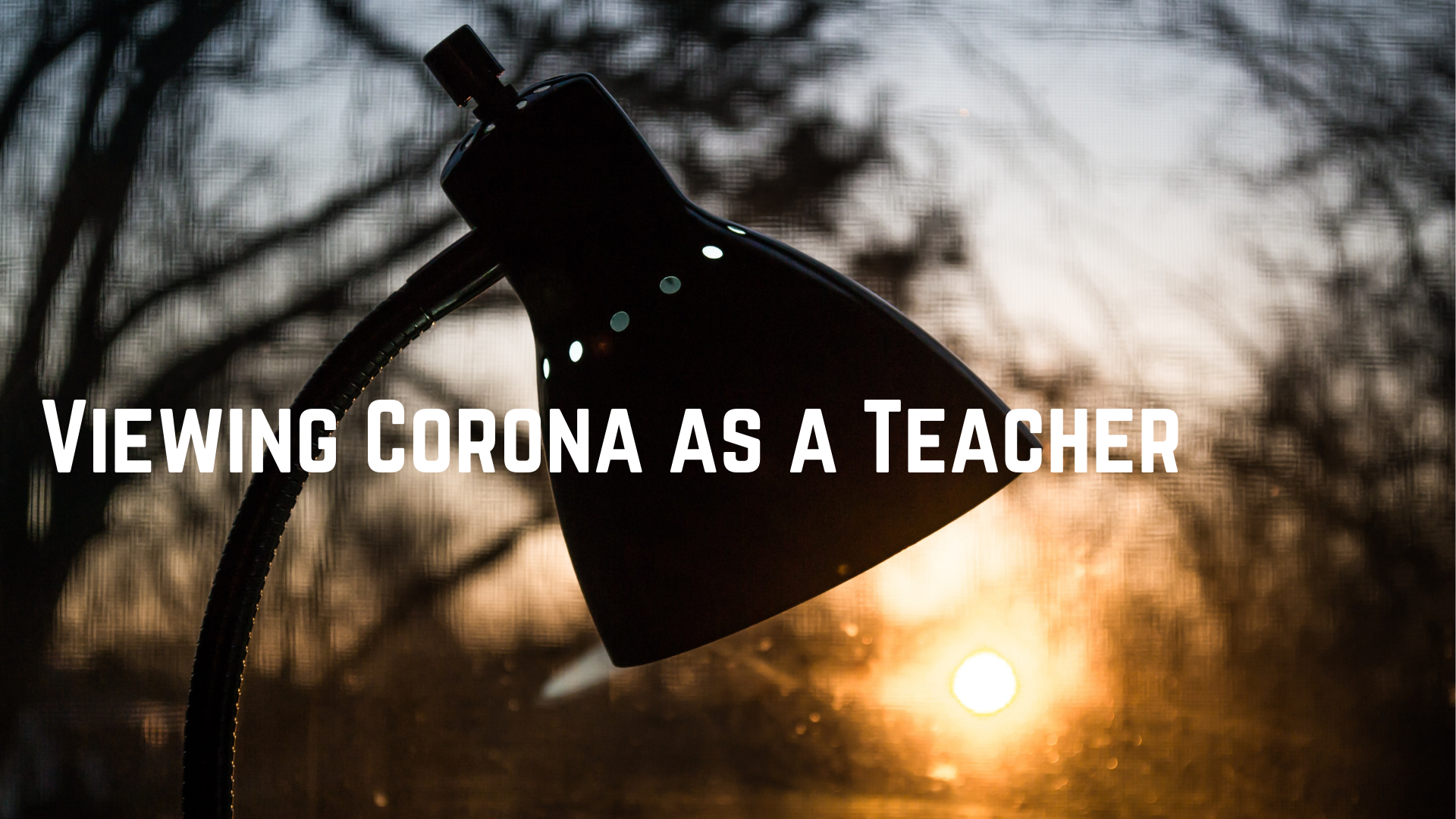 Viewing Corona as a Teacher